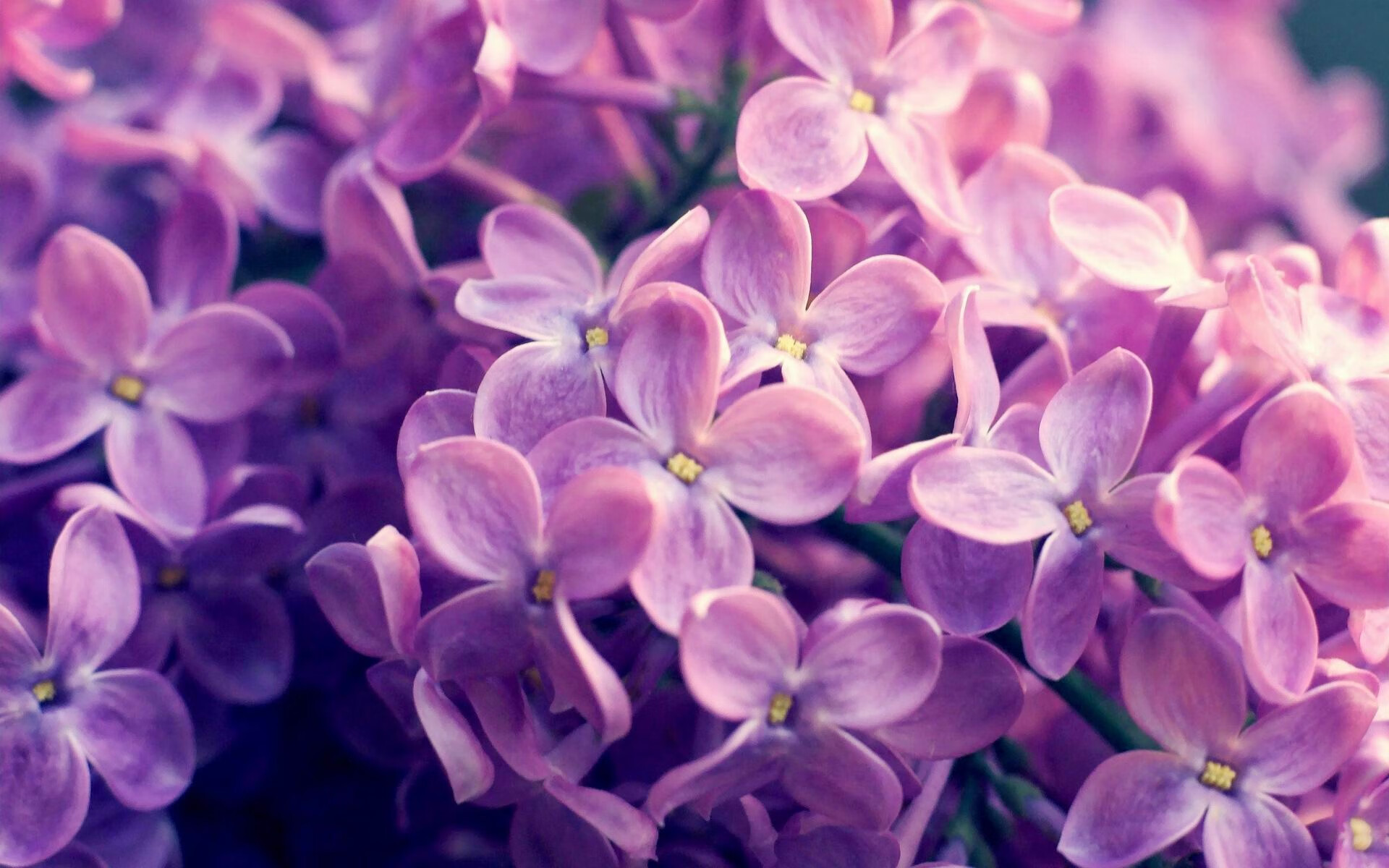 Emma Raducanu奇迹逆转夺冠,青少年新星崛起