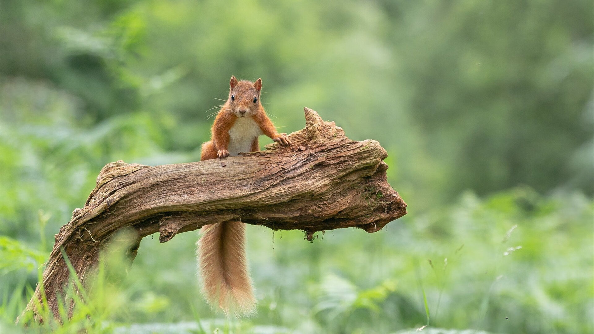 “未来青训”愿景逐步实现,数字化、智能化成为行业发展标配
