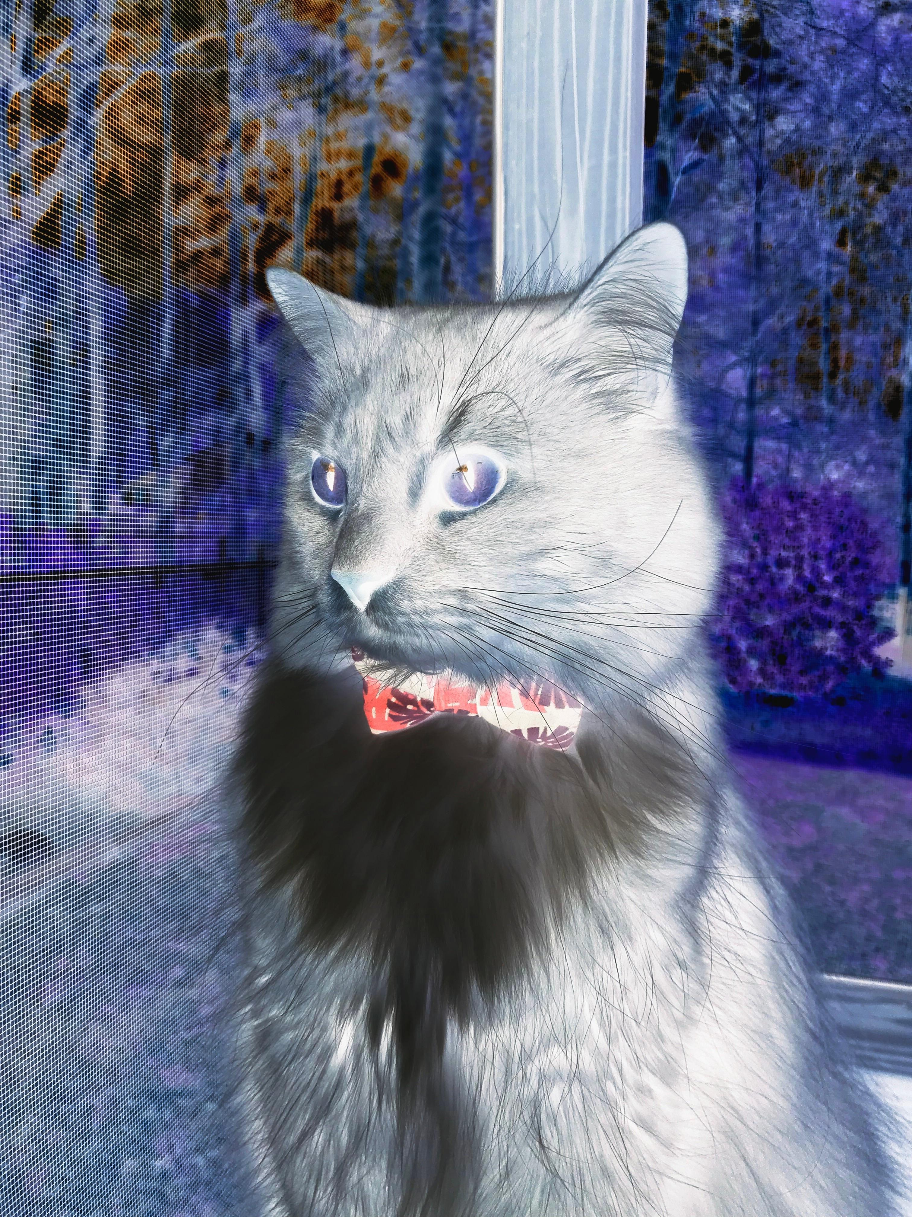 “青训营地引入虚拟仿真技术,训练效果显著提升”,虚拟训练系统