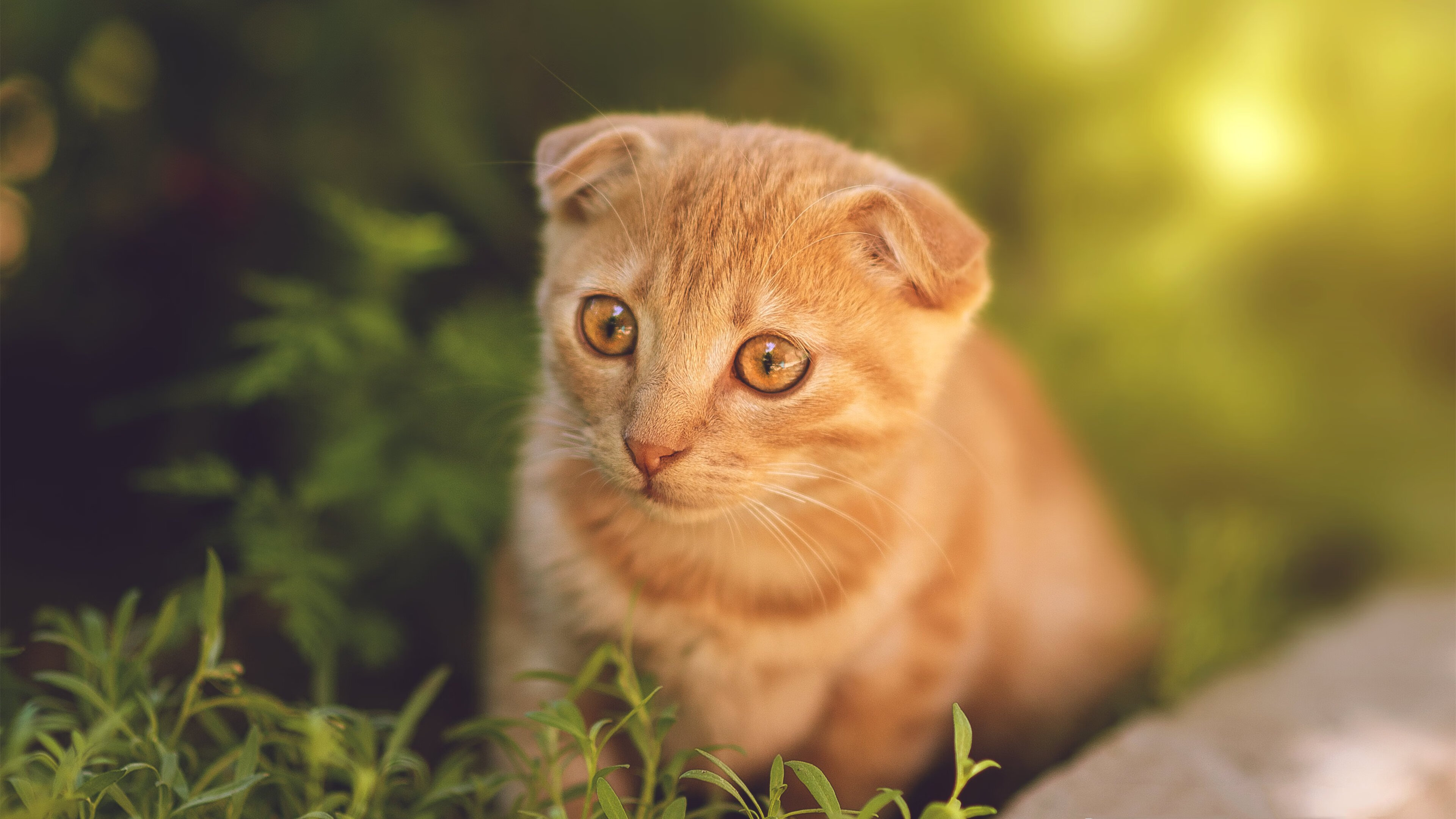 萨拉·埃拉尼和贾斯敏·保利尼在决赛中击败俄罗斯组合