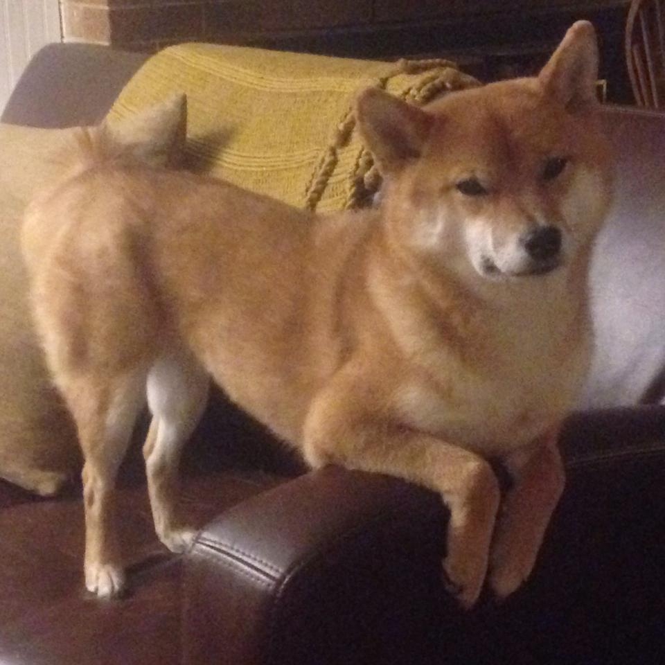 吉尔英联将迎战曼城，强强对话势必激烈，吉尔曼起重机有限公司