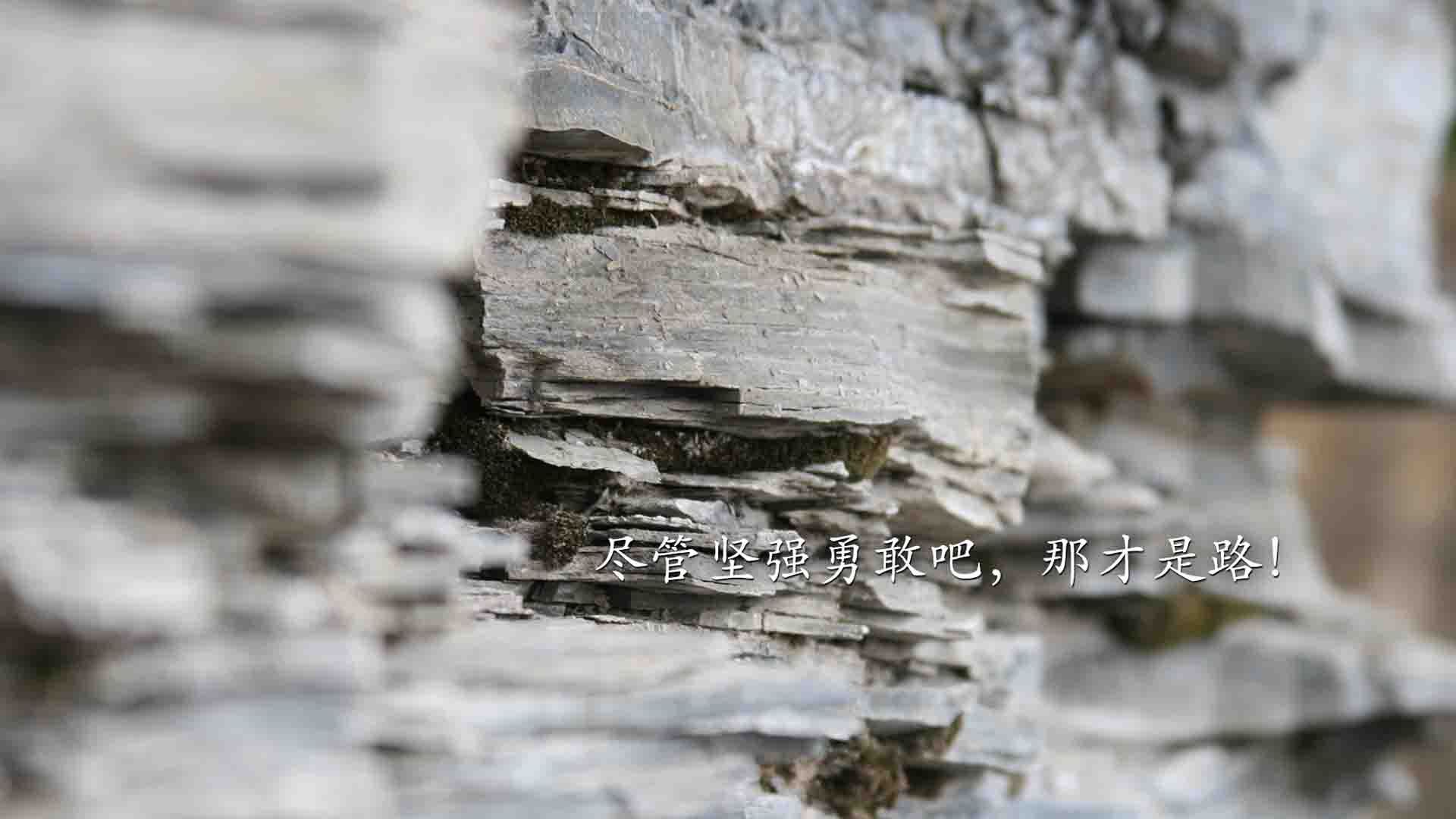 塞维利亚主场大捷,实现全面胜利,塞维利亚球场