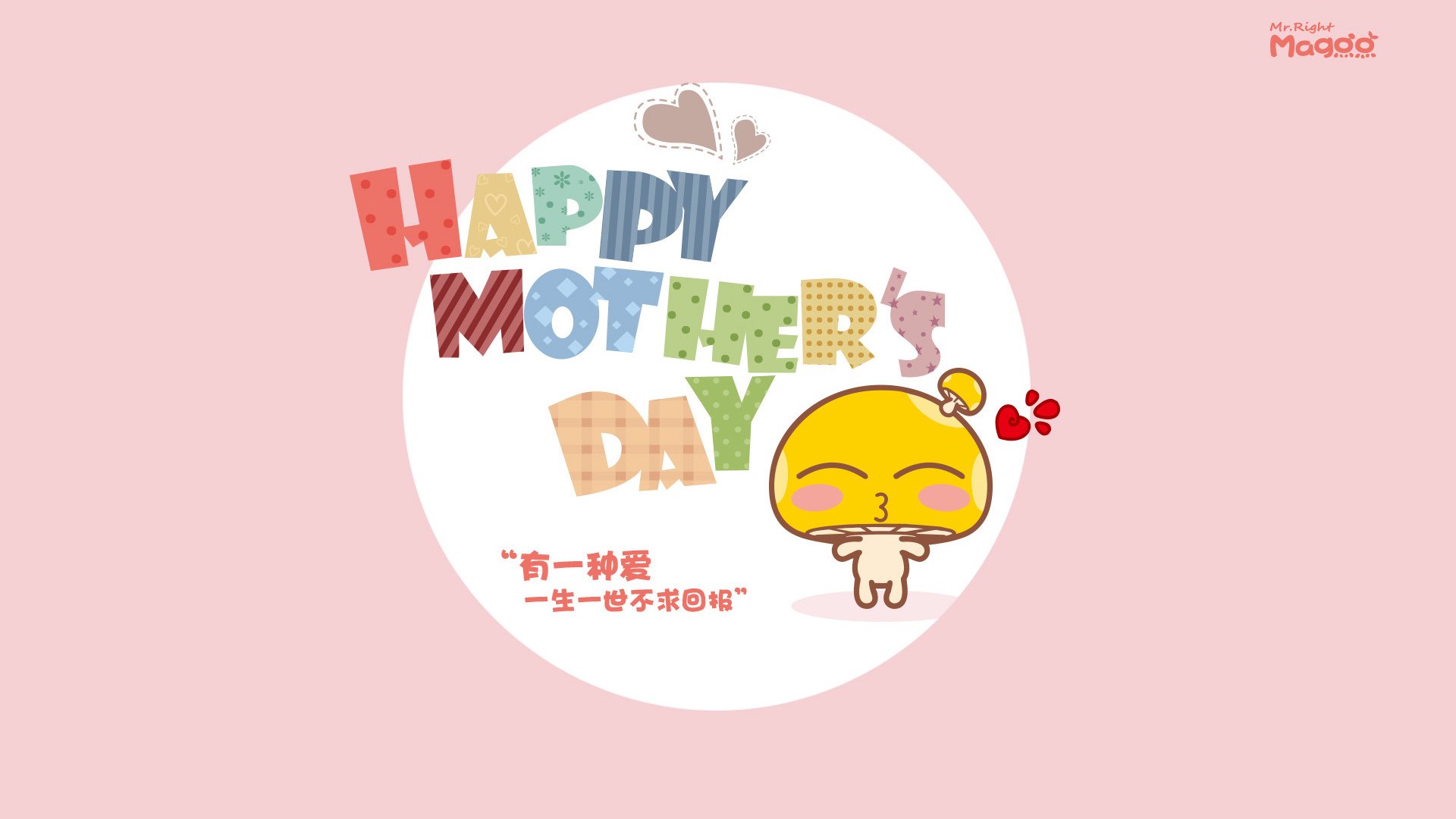 宁夏男篮连续取得胜利，稳步前进，宁夏篮球队成员照片