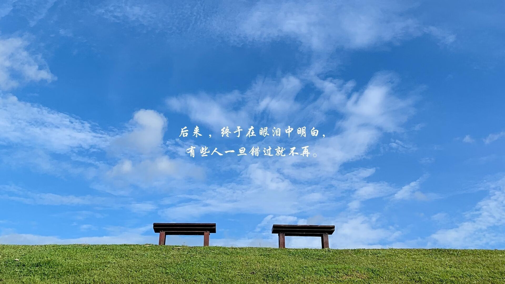 霍芬海姆球员踢出精彩表现,令人印象深刻,霍芬海姆对