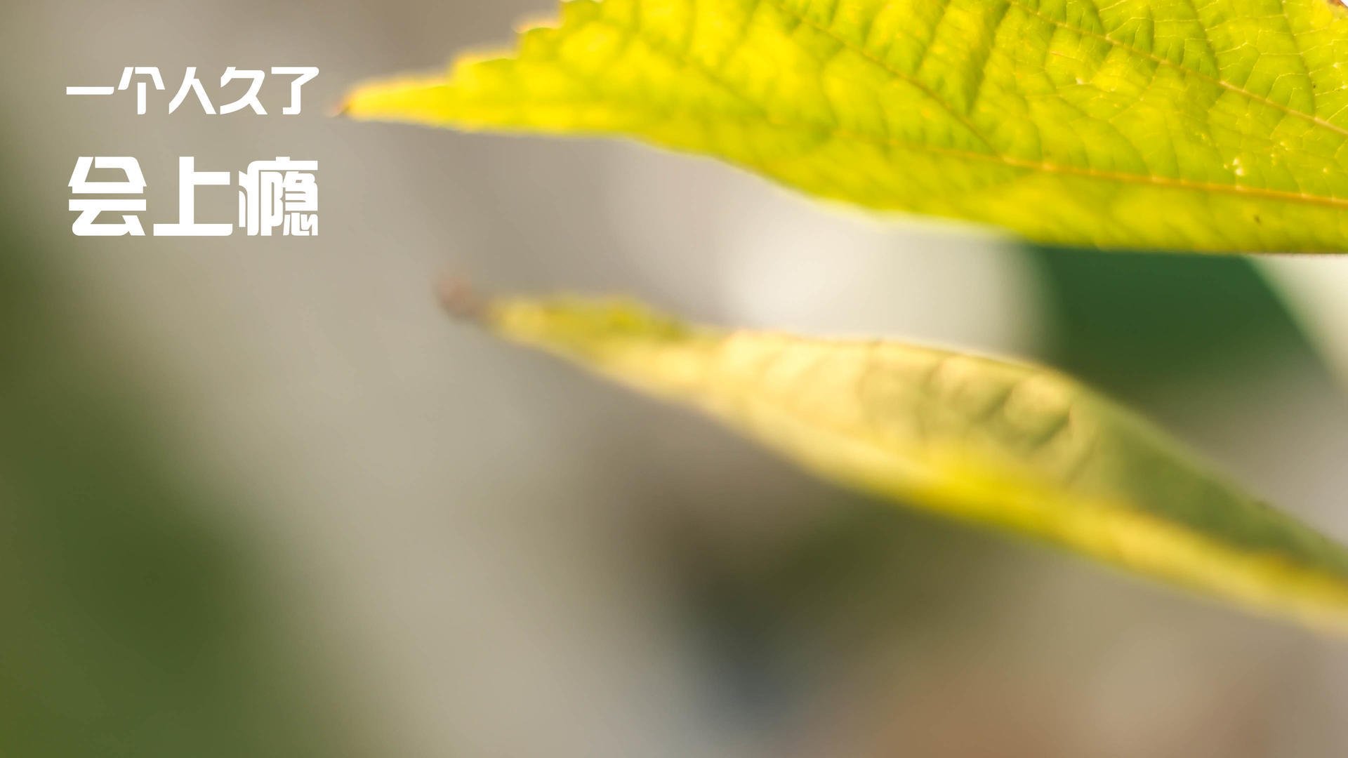 体育场馆设施智能化升级，体育场馆设施智能化升级方案