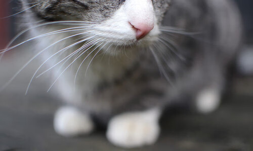 国足防守强度与失球关系回归分析,国足防守反击