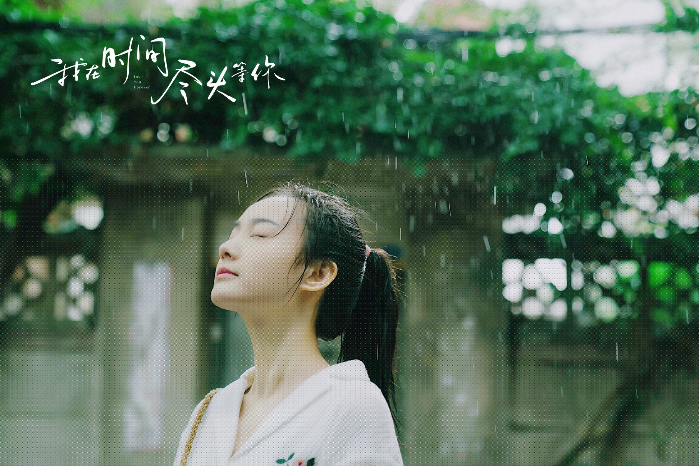 中国香港队表现出色:国际乒联混合团体世界杯赛场全纪录,乒乓球 香港队