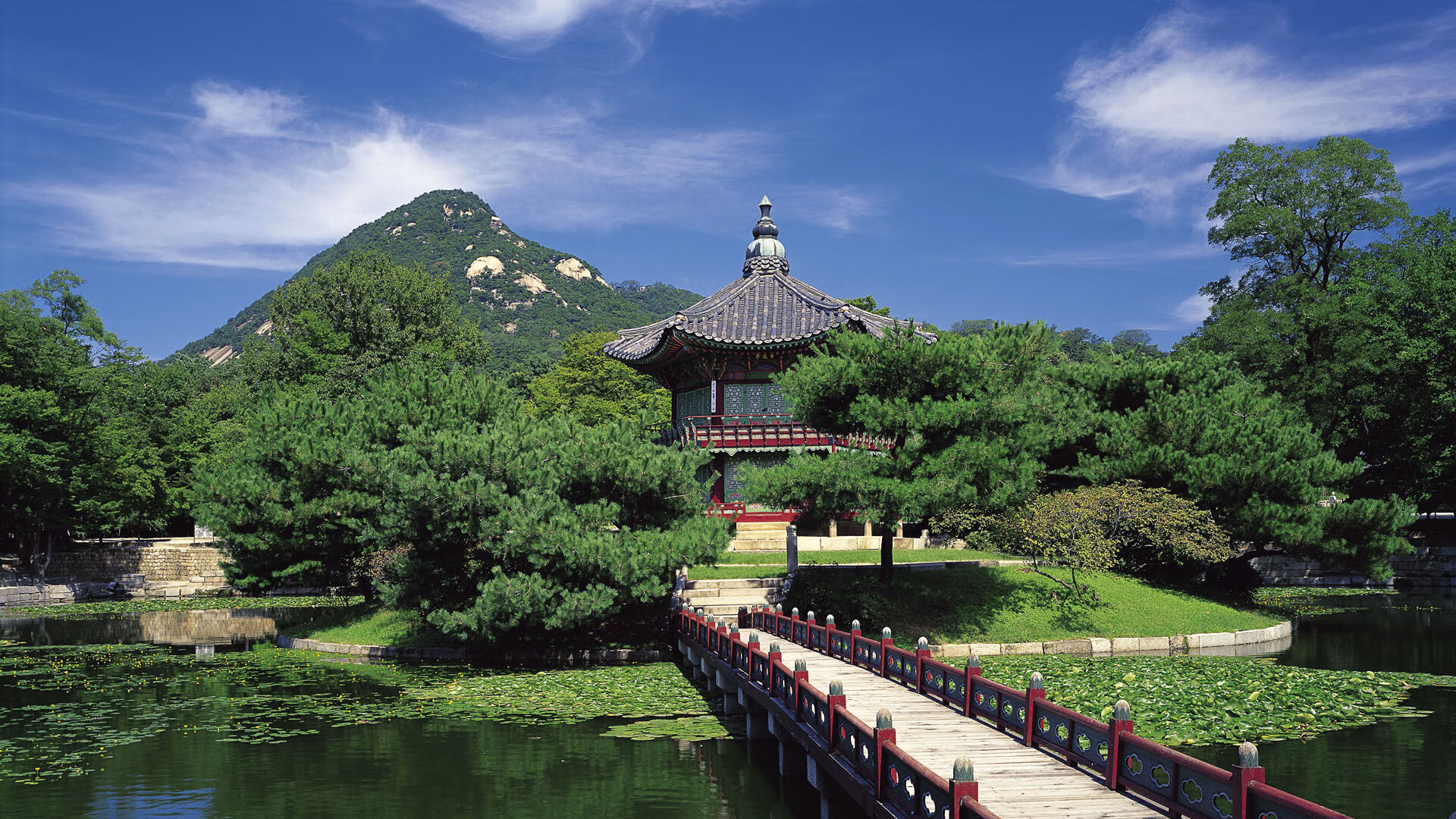 女子200蝶成绩–配速剖面对比曲线，女子200米蝶泳决赛录像