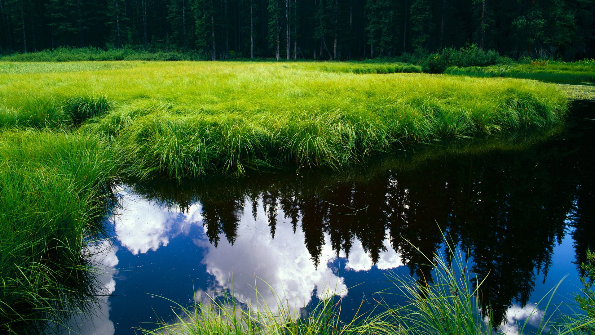 新加坡队未来的方向：如何通过国际化发展提升球队竞争力，新加坡足球队实力