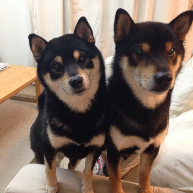 俱乐部主席换人,经营理念焕然一新,俱乐部主任岗位职责