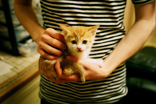 塞尔维亚女篮在欧洲锦标赛中夺冠，续写荣耀历史，塞尔维亚女蓝奥运战绩