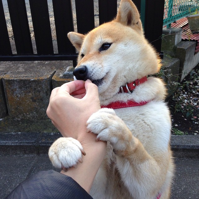 美洲杯明星再登场:突破、助攻、精彩不断!,美洲杯大名单